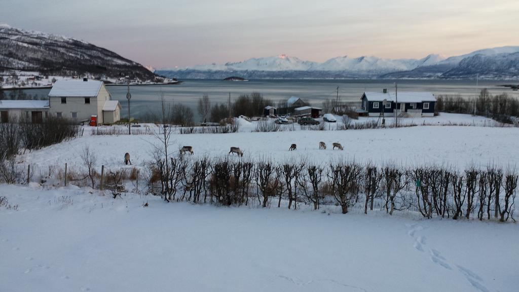 Utsikten Feriehus I Bakkeby Екстер'єр фото